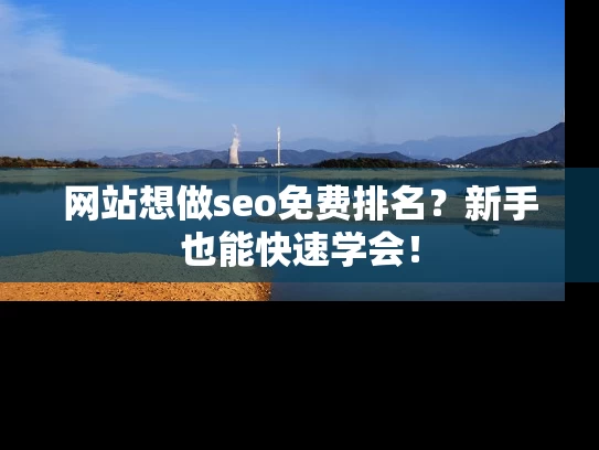 网站想做seo免费排名？新手也能快速学会！