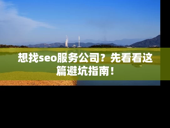 想找seo服务公司？先看看这篇避坑指南！