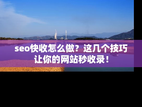 seo快收怎么做？这几个技巧让你的网站秒收录！