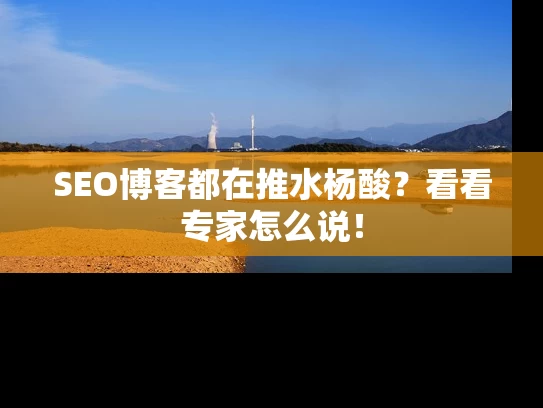 SEO博客都在推水杨酸？看看专家怎么说！