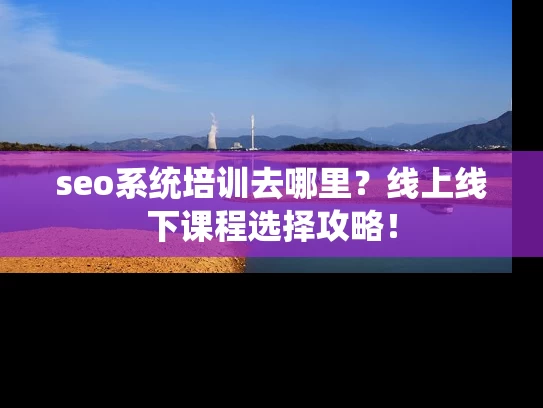 seo系统培训去哪里？线上线下课程选择攻略！