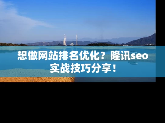想做网站排名优化？隆讯seo实战技巧分享！