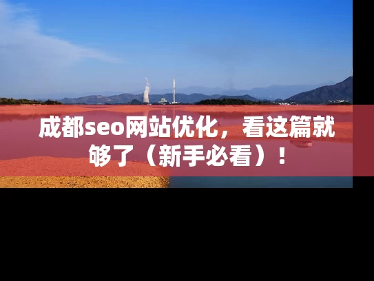 成都seo网站优化，看这篇就够了（新手必看）！