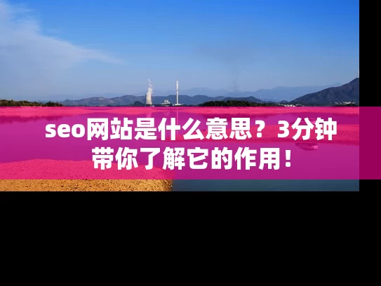 seo网站是什么意思？3分钟带你了解它的作用！