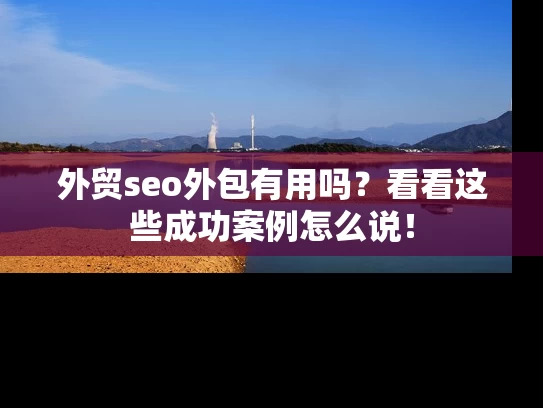 外贸seo外包有用吗？看看这些成功案例怎么说！