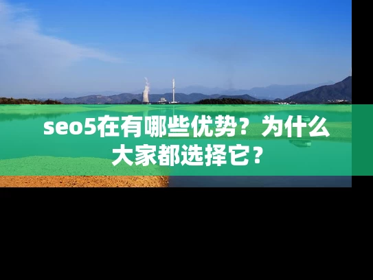 seo5在有哪些优势？为什么大家都选择它？