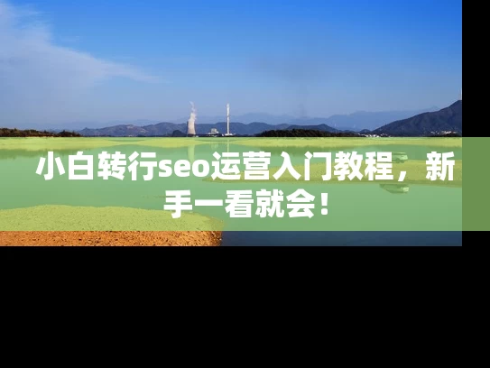 小白转行seo运营入门教程，新手一看就会！