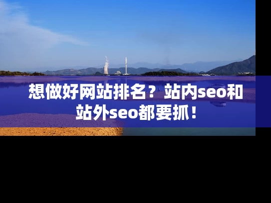 想做好网站排名？站内seo和站外seo都要抓！