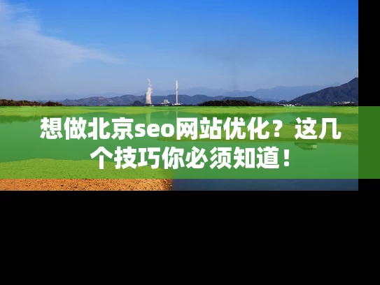 想做北京seo网站优化？这几个技巧你必须知道！