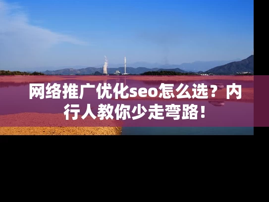 网络推广优化seo怎么选？内行人教你少走弯路！