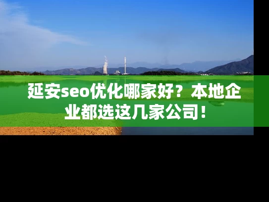 延安seo优化哪家好？本地企业都选这几家公司！