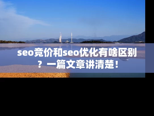 seo竞价和seo优化有啥区别？一篇文章讲清楚！