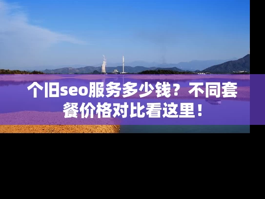 个旧seo服务多少钱？不同套餐价格对比看这里！
