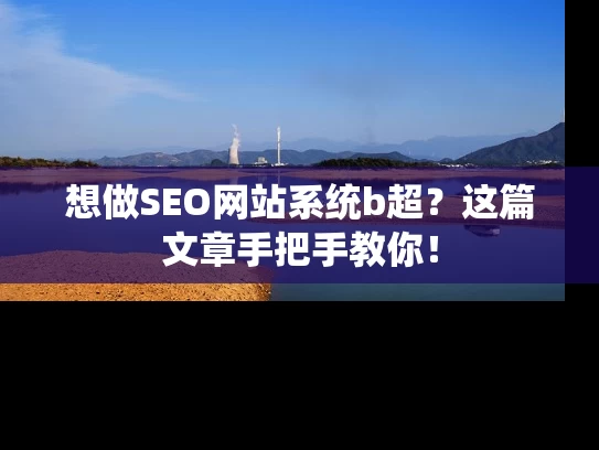 想做SEO网站系统b超？这篇文章手把手教你！