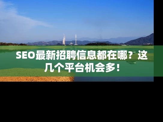 SEO最新招聘信息都在哪？这几个平台机会多！