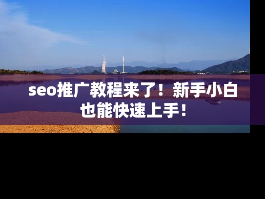 seo推广教程来了！新手小白也能快速上手！