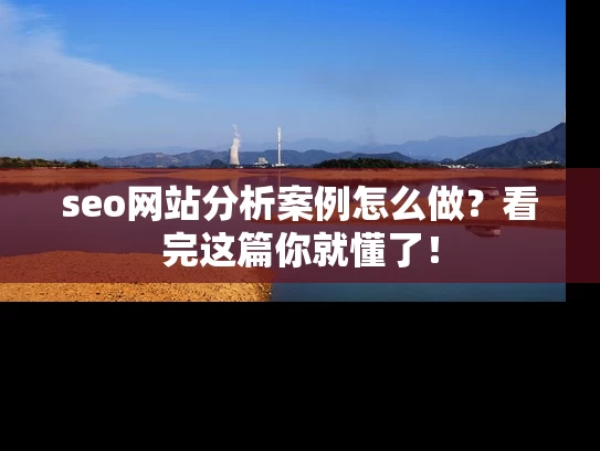 seo网站分析案例怎么做？看完这篇你就懂了！