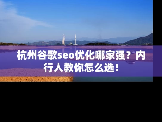 杭州谷歌seo优化哪家强？内行人教你怎么选！