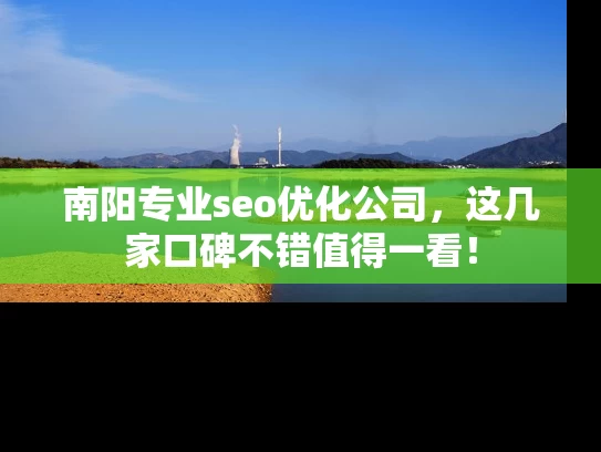 南阳专业seo优化公司，这几家口碑不错值得一看！