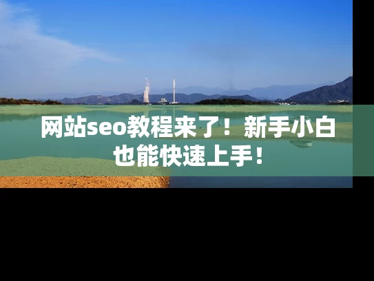 网站seo教程来了！新手小白也能快速上手！