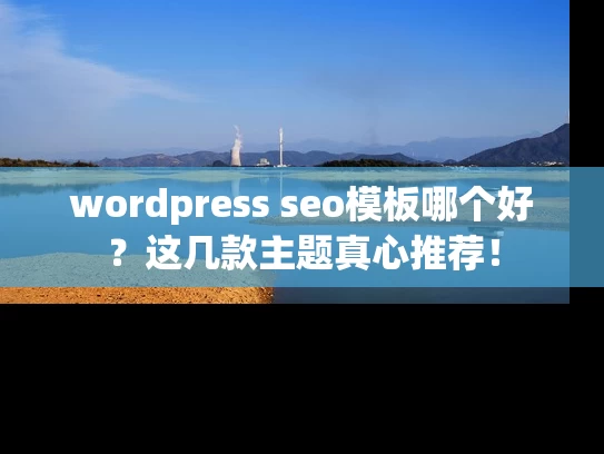 wordpress seo模板哪个好？这几款主题真心推荐！