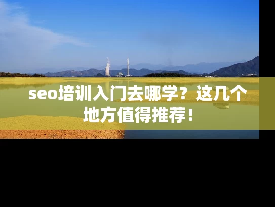 seo培训入门去哪学？这几个地方值得推荐！