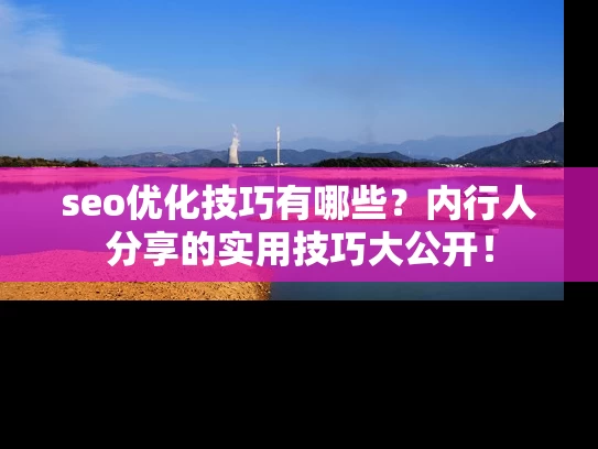 seo优化技巧有哪些？内行人分享的实用技巧大公开！