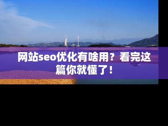 网站seo优化有啥用？看完这篇你就懂了！