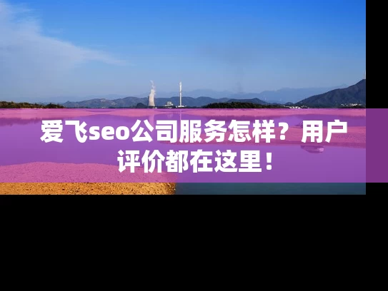 爱飞seo公司服务怎样？用户评价都在这里！