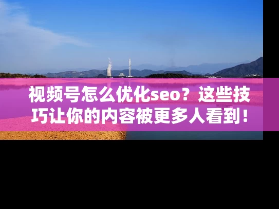 视频号怎么优化seo？这些技巧让你的内容被更多人看到！