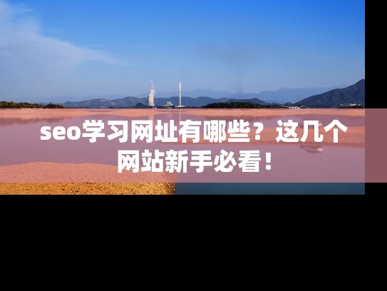 seo学习网址有哪些？这几个网站新手必看！