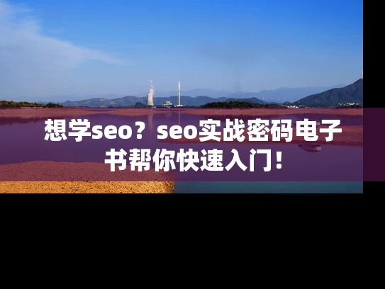 想学seo？seo实战密码电子书帮你快速入门！