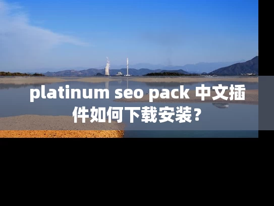 platinum seo pack 中文插件如何下载安装？