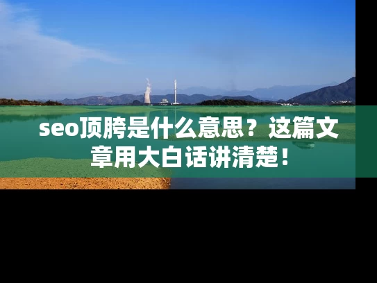 seo顶胯是什么意思？这篇文章用大白话讲清楚！