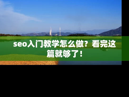 seo入门教学怎么做？看完这篇就够了！