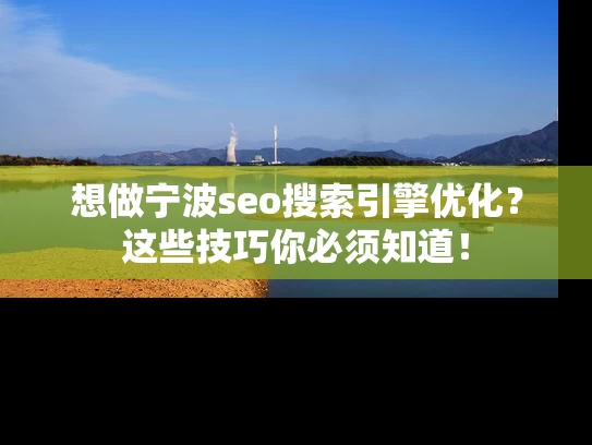想做宁波seo搜索引擎优化？这些技巧你必须知道！