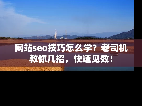 网站seo技巧怎么学？老司机教你几招，快速见效！