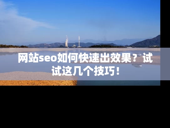 网站seo如何快速出效果？试试这几个技巧！