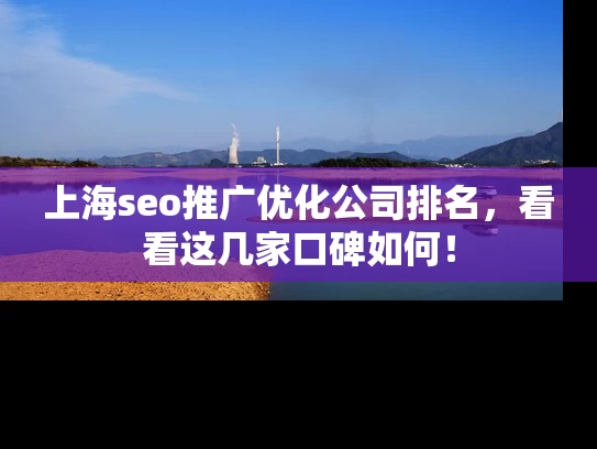 上海seo推广优化公司排名，看看这几家口碑如何！