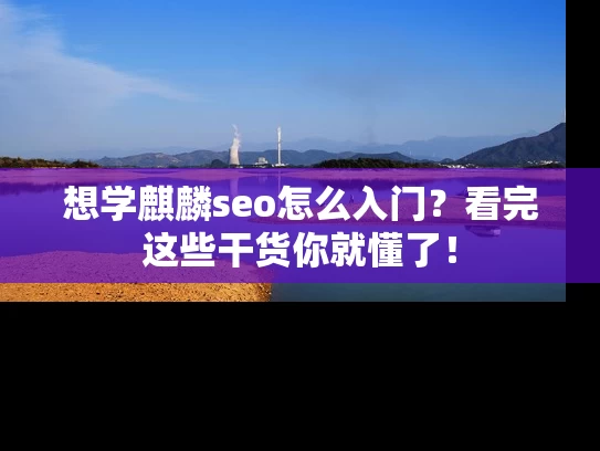 想学麒麟seo怎么入门？看完这些干货你就懂了！