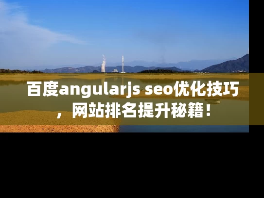 百度angularjs seo优化技巧，网站排名提升秘籍！