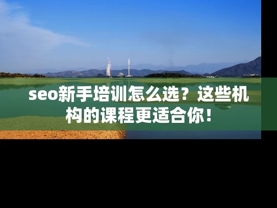seo新手培训怎么选？这些机构的课程更适合你！