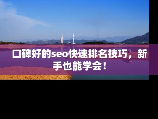 口碑好的seo快速排名技巧，新手也能学会！