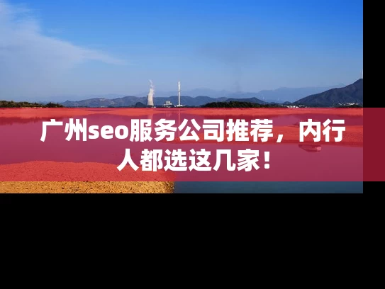 广州seo服务公司推荐，内行人都选这几家！