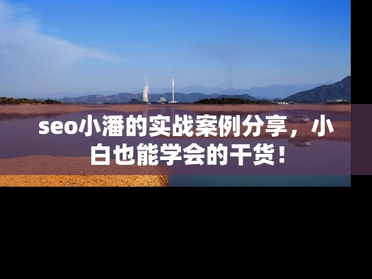 seo小潘的实战案例分享，小白也能学会的干货！