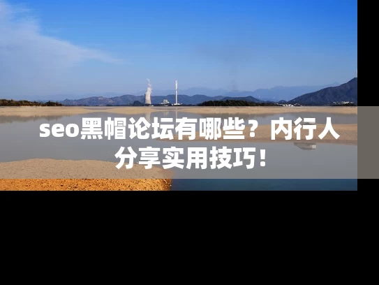 seo黑帽论坛有哪些？内行人分享实用技巧！