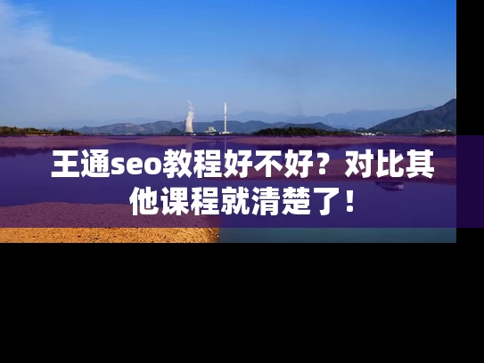 王通seo教程好不好？对比其他课程就清楚了！