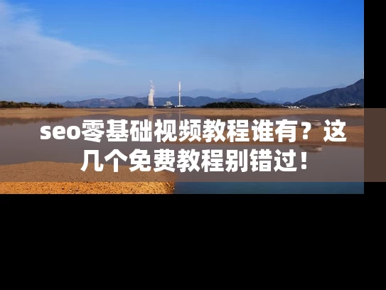 seo零基础视频教程谁有？这几个免费教程别错过！