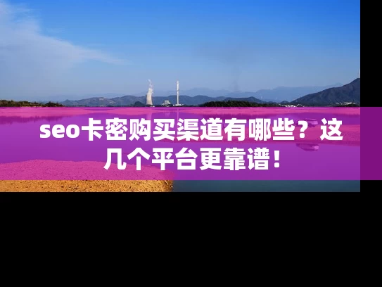 seo卡密购买渠道有哪些？这几个平台更靠谱！