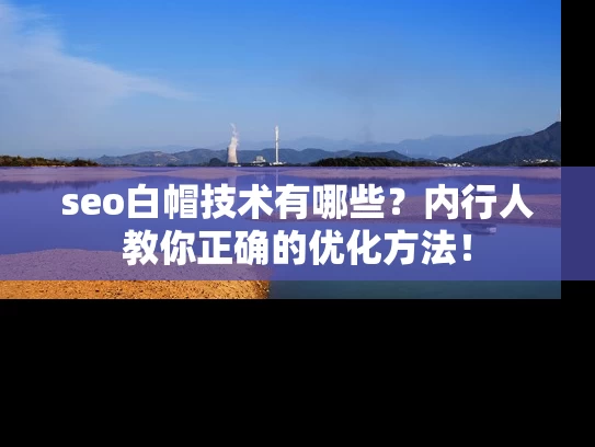 seo白帽技术有哪些？内行人教你正确的优化方法！